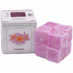Scented Cubes "Plumeria" (8 St.)