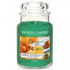 Yankee Candle® Classic Jar "Alfresco Afternoon" Large (1 St.)