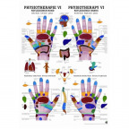 Lehrtafel "Physiotherapie IV - Refelexzonen Hand" (1 St.)