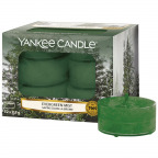 Yankee Candle® Duftende Teelichte "Evergreen Mist" (12 St.) [Sonderposten]