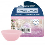Yankee Candle® New Wax Melt "Snowflake Kisses" (1 St.)