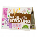 Wildblumen-Stecklinge (10 St.)