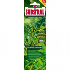 SUBSTRAL® Dünger-Stäbchen für Grünpflanzen (30 St.)