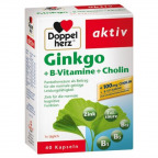 Doppelherz Ginkgo + B-Vitamine + Cholin (40 St.)