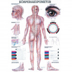 Miniposter "Körperakupunktur" (1 St.)