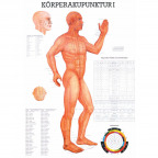 Miniposter "Körperakupunktur I" (1 St.)