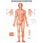 Miniposter "Körperakupunktur II" (1 St.)