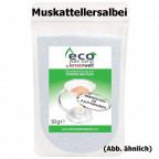 EcoWaxSand Muskattellersalbei (50 g)