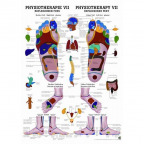 Miniposter "Physiotherapie VII" - Reflexzonen Fuß (1 St.)